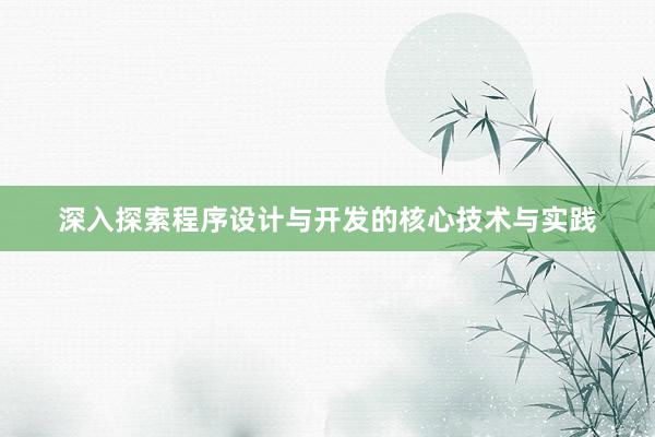 深入探索程序设计与开发的核心技术与实践